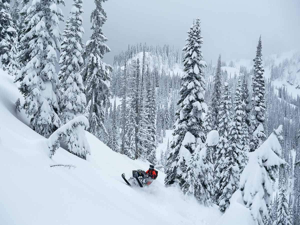 LYNX MY26 SHRED DS3900 ACT 00075